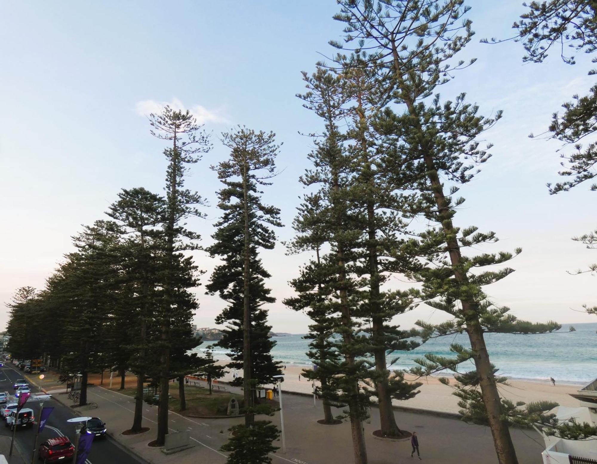 Stay At Hotel Steyne Sydney Exterior photo